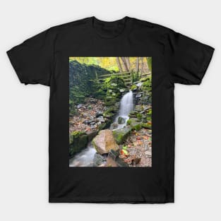 Lake District Ghyll T-Shirt